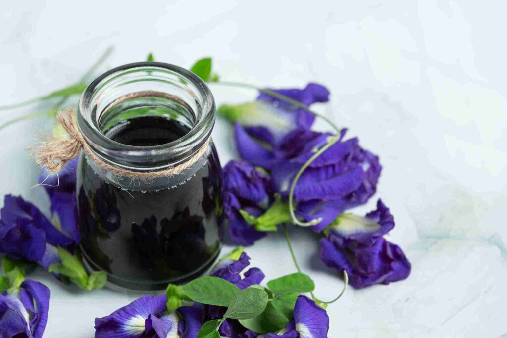 Secangkir teh herbal panas yang menunjukkan beragam manfaat bunga telang untuk kesehatan dan relaksasi tubuh.