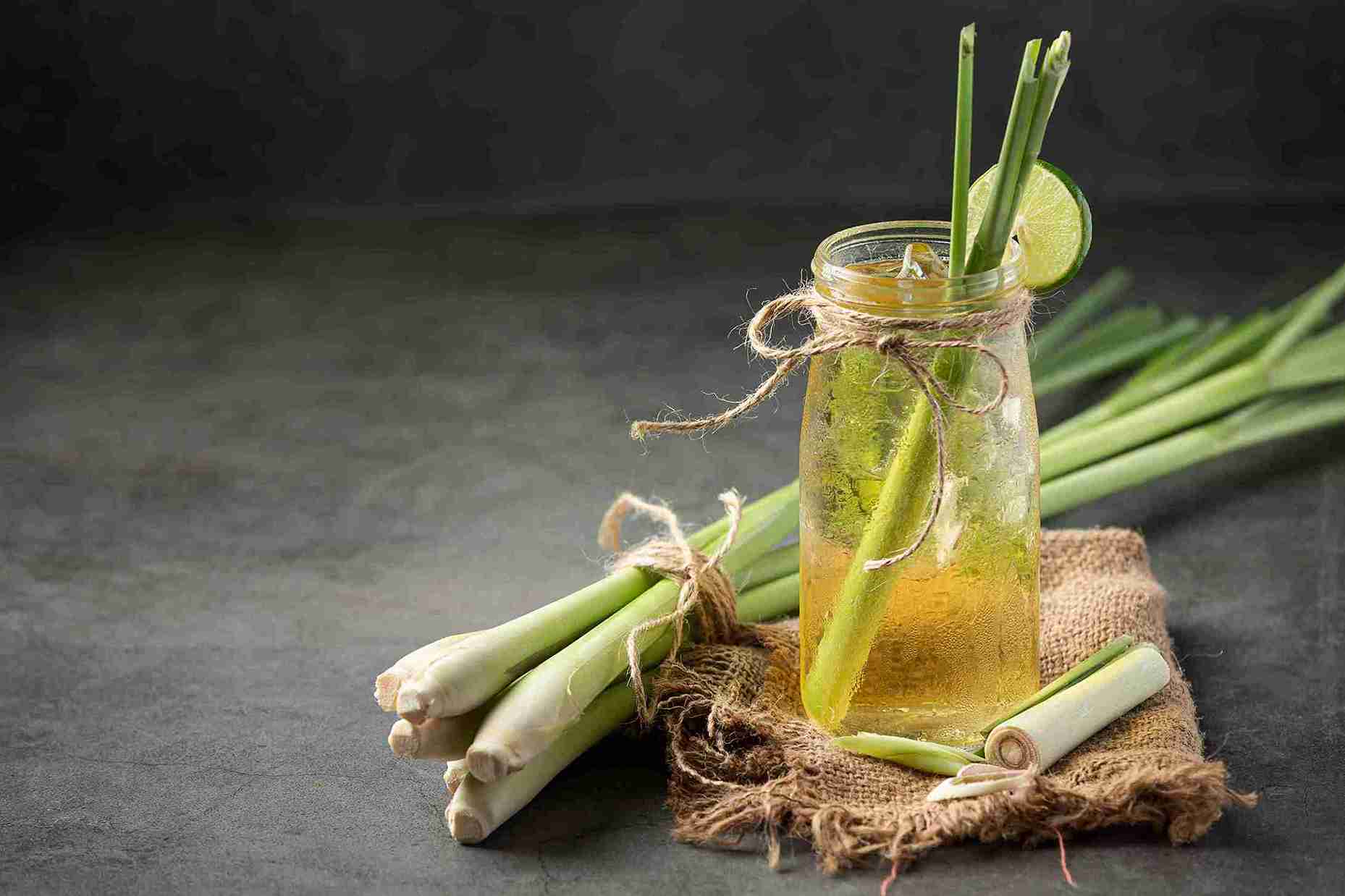 Segelas teh sereh segar dengan madu dan irisan jeruk nipis, dikelilingi oleh batang sereh utuh. Minuman herbal ini menunjukkan salah satu dari banyak manfaat teh sereh untuk kesehatan dan relaksasi tubuh.